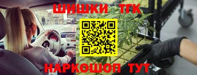 крисы Вязники