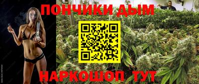 крисы Вязники