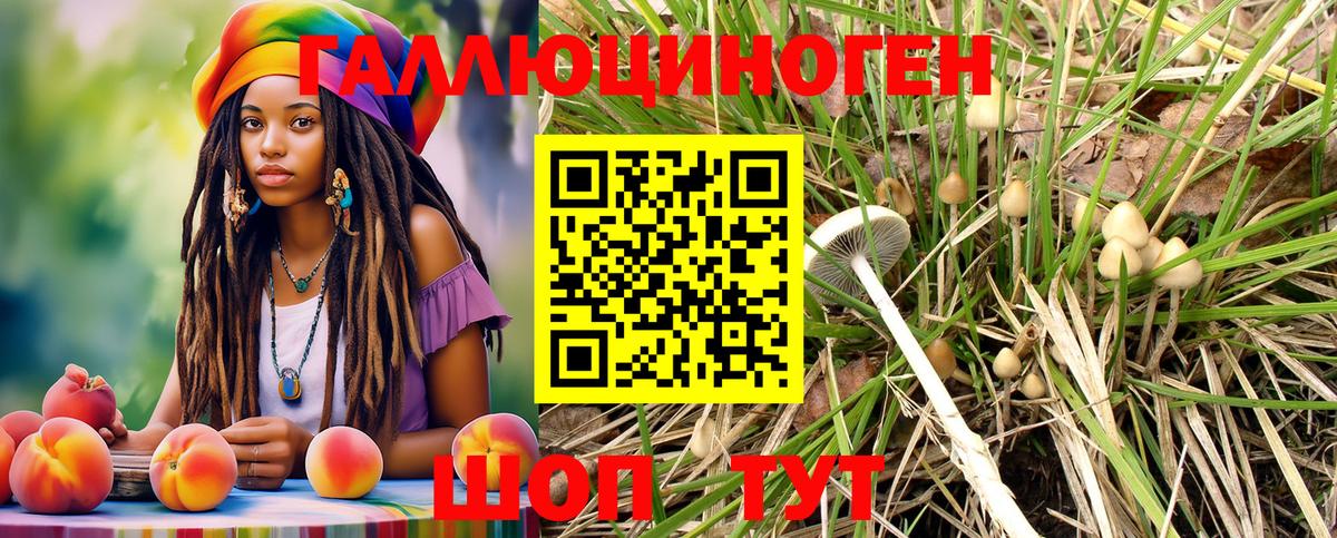 Псилоцибиновые грибы Psilocybe Артёмовский